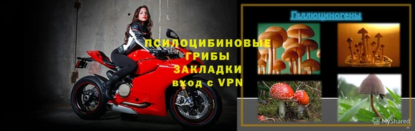 спайс Вяземский