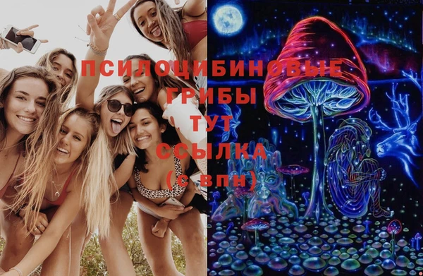 спайс Вяземский