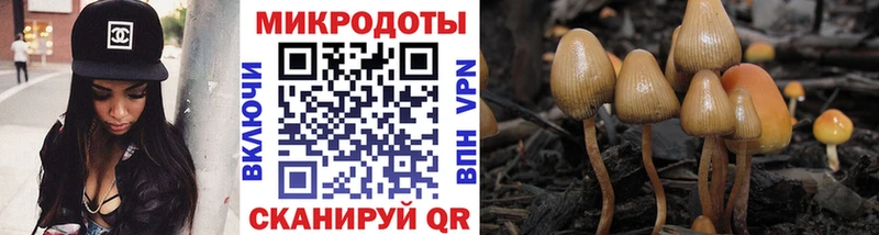 это состав  Ельня  Псилоцибиновые грибы прущие грибы  как найти  